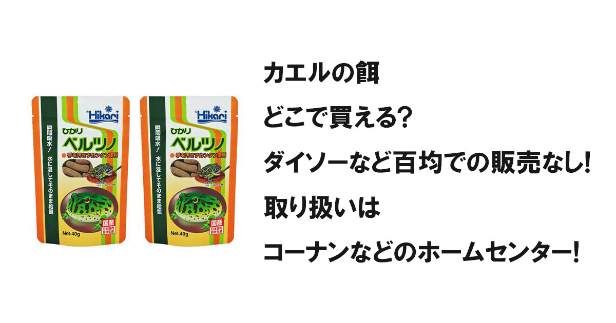 カエルの餌どこで買える?ダイソーなど百均での販売なし!取り扱いはコーナンなどのホームセンター!