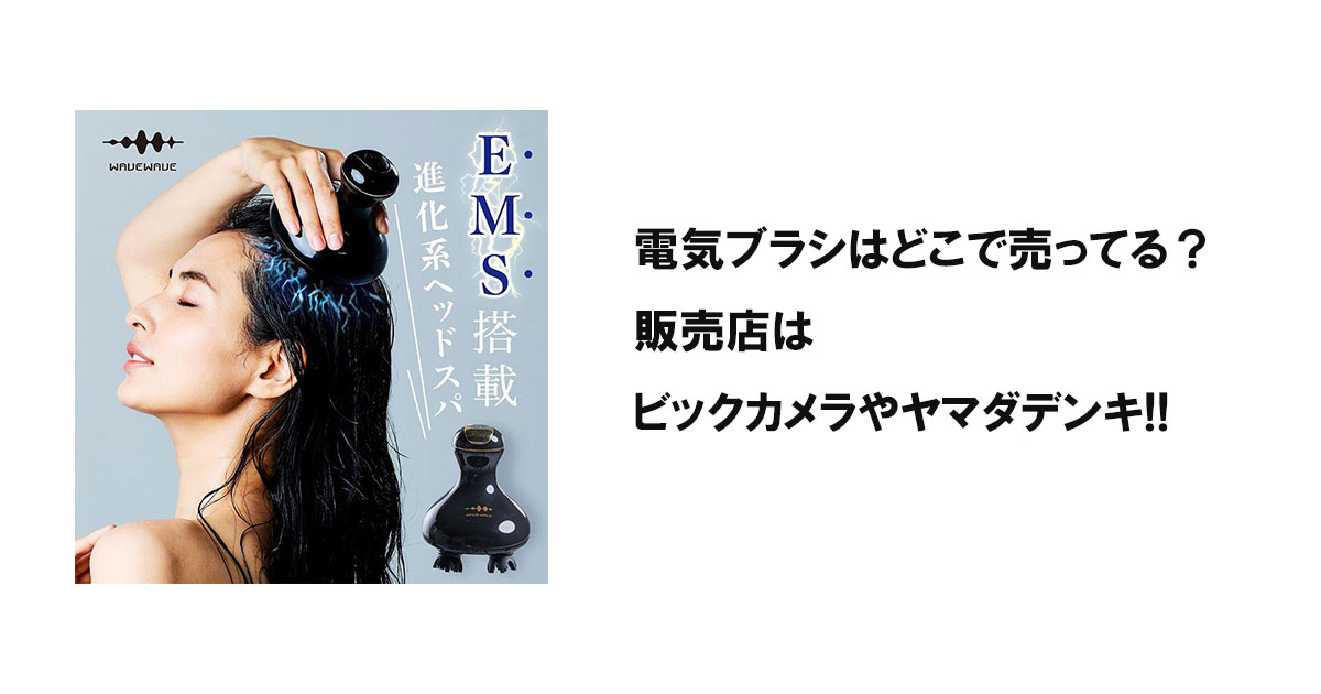 電気ブラシはどこで売ってる？販売店はビックカメラやヤマダデンキ!!