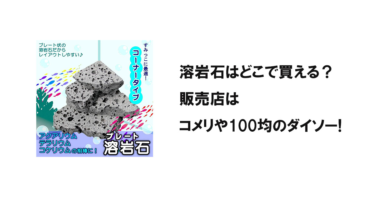 溶岩石はどこで買える？販売店はコメリや100均のダイソー!