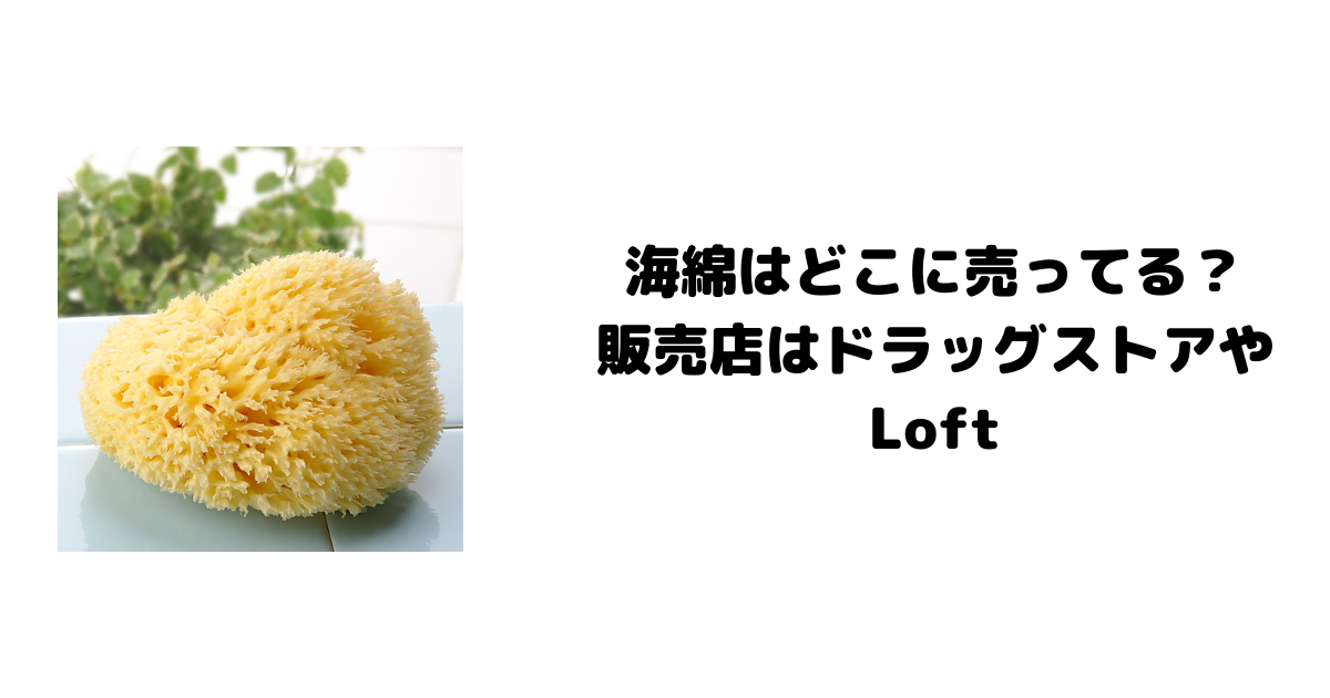 海綿はどこに売ってる？販売店はドラッグストアやLoft